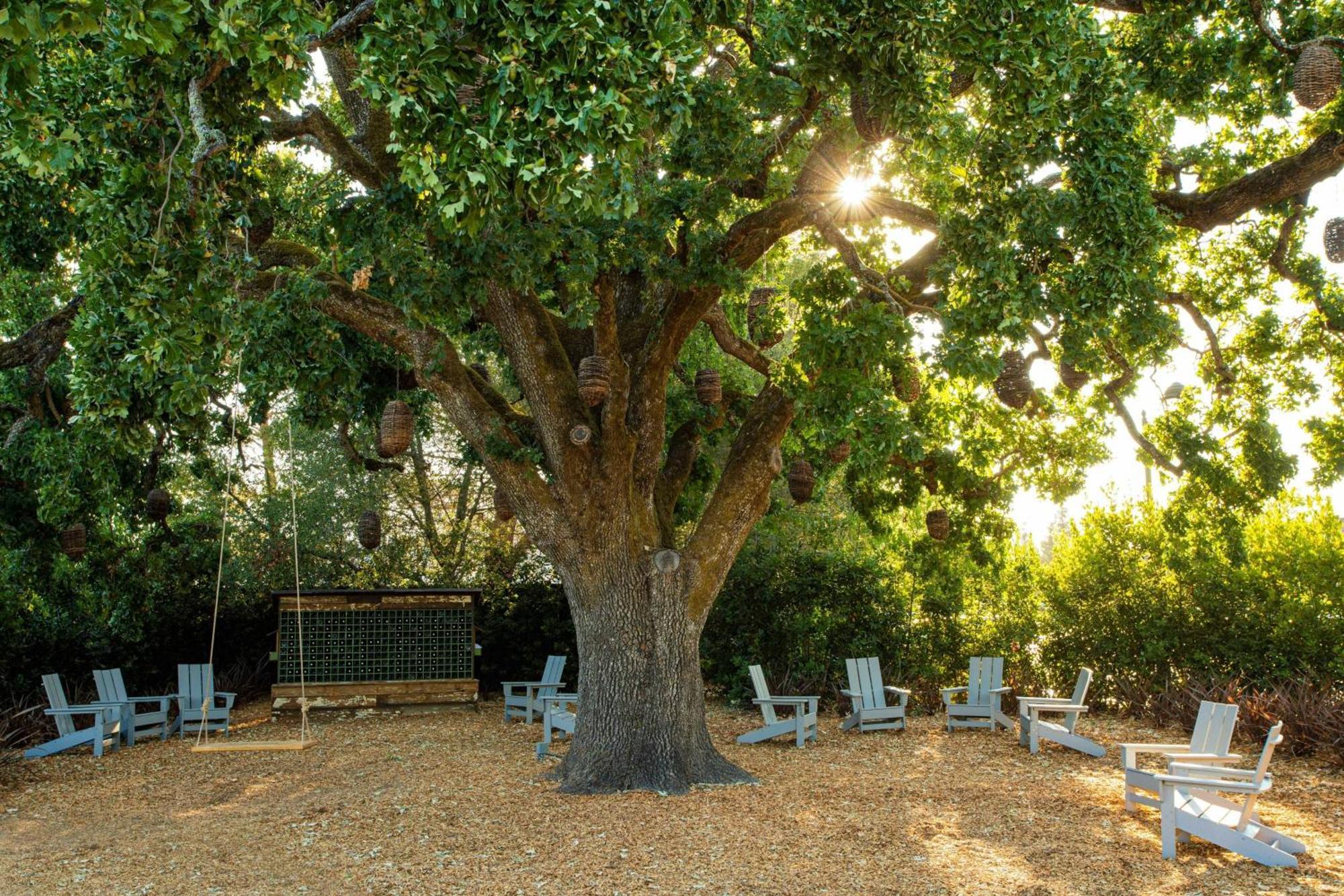 The Lodge At Sonoma Resort, Autograph Collection Esterno foto